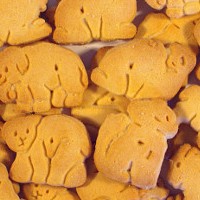 Animal Cookies