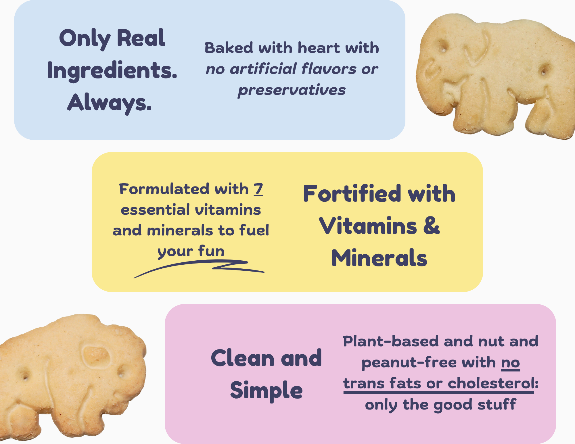 Our Story top graphic